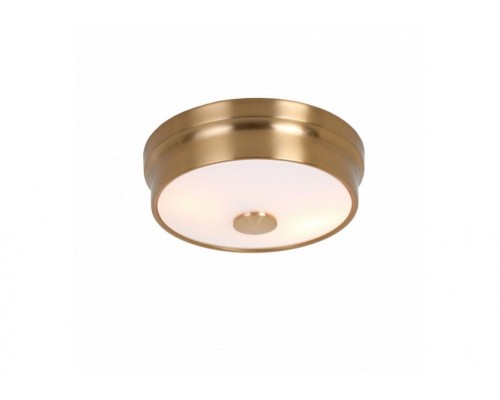 Потолочный светильник Pannikin 2375-2C Favourite