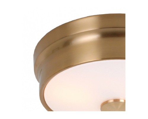 Потолочный светильник Pannikin 2375-2C Favourite