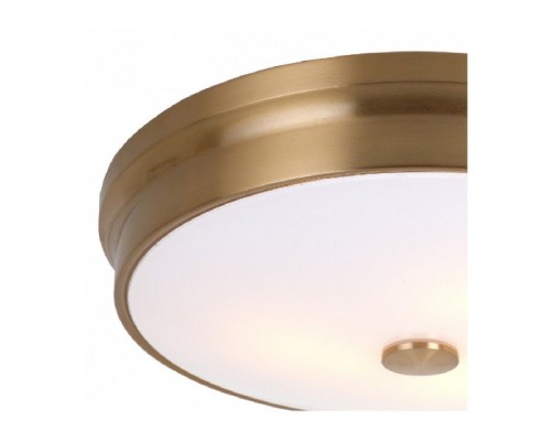 Потолочный светильник Pannikin 2375-3C Favourite