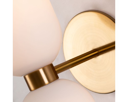 Бра Amusing 2876-1W Favourite