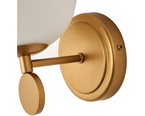 Бра Absolute 2928-1W Favourite