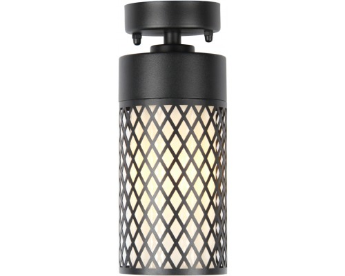 Потолочный светильник уличный Barrel 3019-1P Favourite