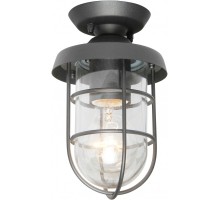 Потолочный светильник уличный Pointer 3021-1P Favourite