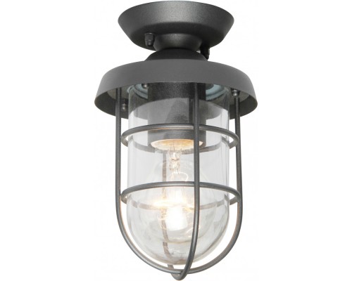 Потолочный светильник уличный Pointer 3021-1P Favourite