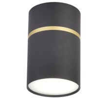 Точечный светильник Dunia 3068-1C Favourite