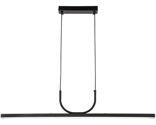 Подвесной светильник Raya 4096-1P Favourite