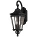 Настенный фонарь уличный Cotswold Lane FE-COTSLN2-M-BK Feiss
