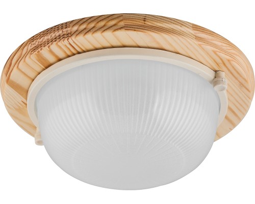 Настенно-потолочный светильник НБО 03-60-01 11569 Feron