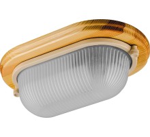 Настенно-потолочный светильник НБО 04-60-011 11571 Feron