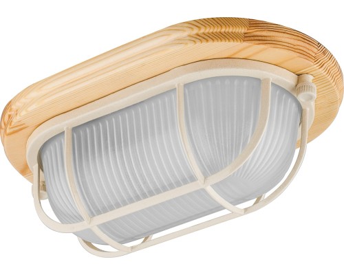 Настенно-потолочный светильник НБО 04-60-012 11572 Feron