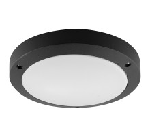 Потолочный светильник уличный DH030 11868 Feron