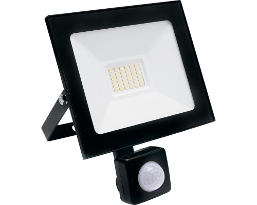 Прожектор уличный  29523 Feron