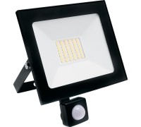 Прожектор уличный SFL80-50 29524 Feron