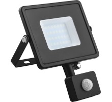 Прожектор уличный LL-908 29558 Feron