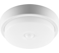 Потолочный светильник AL3006 29610 Feron