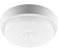 Потолочный светильник AL3006 29610 Feron