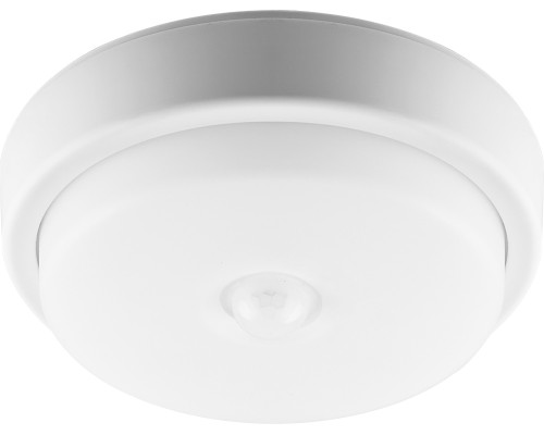 Потолочный светильник AL3006 29610 Feron