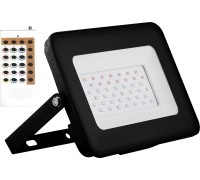 Прожектор уличный LL-613 29703 Feron