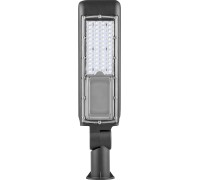 Уличный консольный светильник  32251 Feron