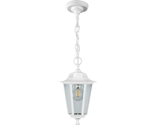 Уличный светильник подвесной НСУ 06-60-001 32270 Feron