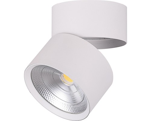 Точечный светильник  32461 Feron