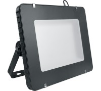 Прожектор уличный  41156 Feron