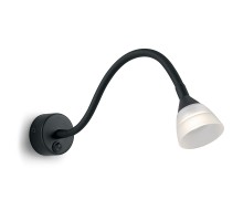 Спот  41231 Feron