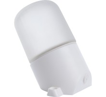 Настенный светильник уличный  41407 Feron