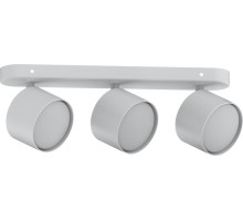 Спот  41478 Feron