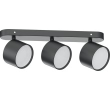 Спот  41479 Feron