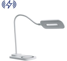 Офисная настольная лампа  41552 Feron