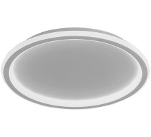 Потолочный светильник Ring 41556 Feron