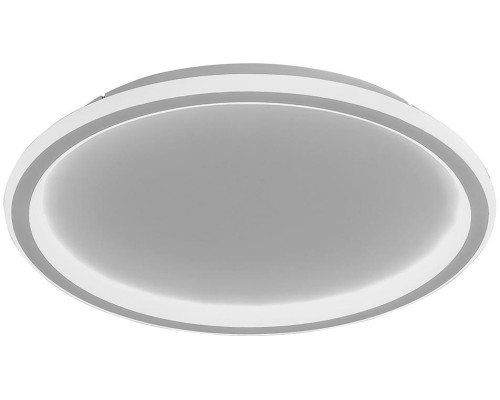Потолочный светильник Ring 41558 Feron