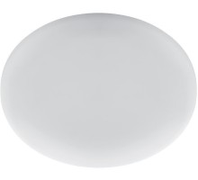 Настенно-потолочный светильник AL509 41567 Feron