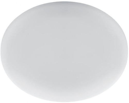 Настенно-потолочный светильник AL509 41567 Feron