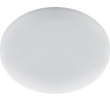 Настенно-потолочный светильник AL509 41568 Feron