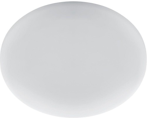 Настенно-потолочный светильник AL509 41568 Feron