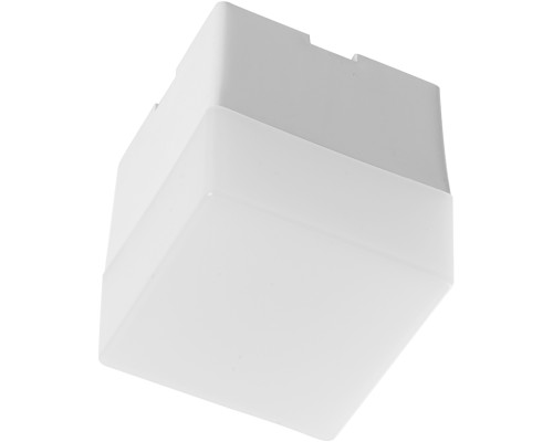 Настенно-потолочный светильник AL4021 41686 Feron