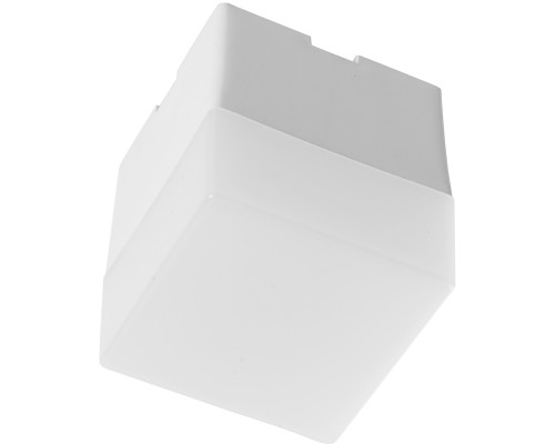 Настенно-потолочный светильник AL4021 41687 Feron