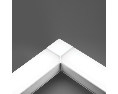 Настенно-потолочный светильник AL4021 41687 Feron