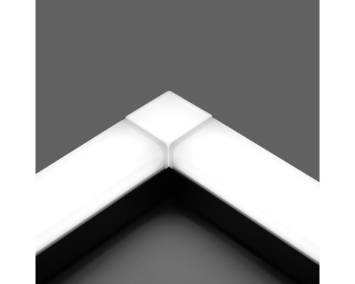 Настенно-потолочный светильник AL4021 41688 Feron