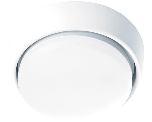 Потолочный светильник HL63 41703 Feron