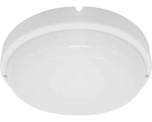 Потолочный светильник уличный AL3013 41755 Feron