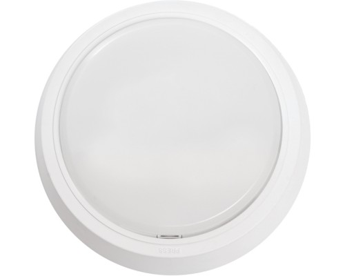 Настенно-потолочный светильник AL3020 41766 Feron