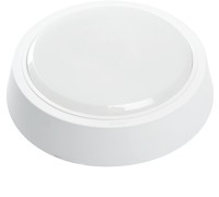 Настенно-потолочный светильник AL3020 41767 Feron