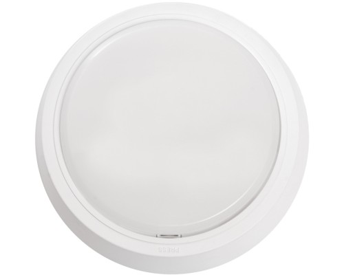 Настенно-потолочный светильник AL3020 41767 Feron