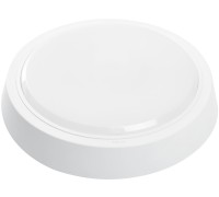 Настенно-потолочный светильник AL3020 41769 Feron