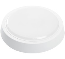 Настенно-потолочный светильник AL3020 41769 Feron