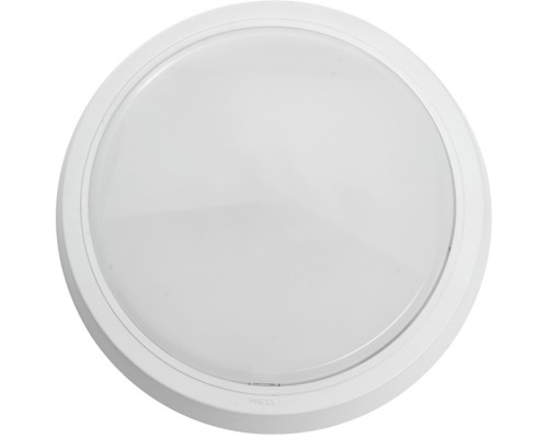 Настенно-потолочный светильник AL3020 41769 Feron