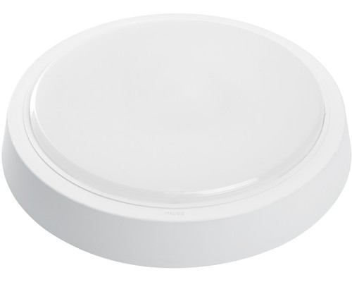 Настенно-потолочный светильник AL3020 41772 Feron